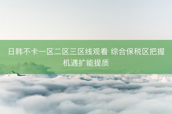 日韩不卡一区二区三区线观看 综合保税区把握机遇扩能提质