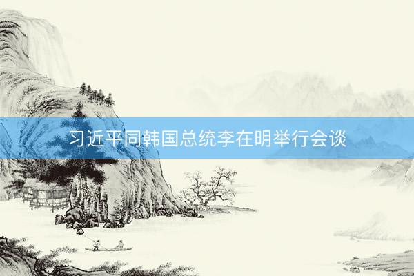 习近平同韩国总统李在明举行会谈