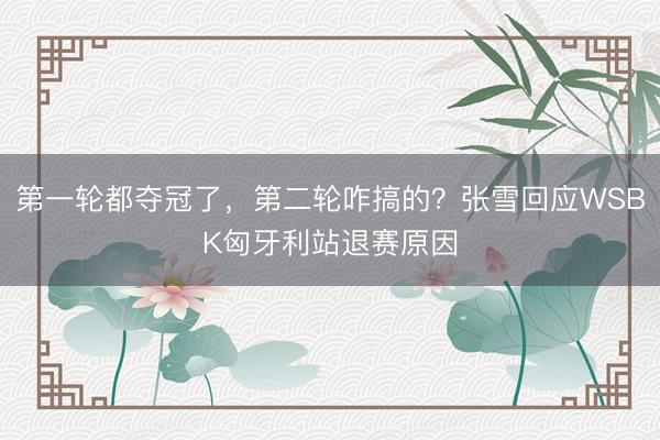 第一轮都夺冠了，第二轮咋搞的？张雪回应WSBK匈牙利站退赛原因