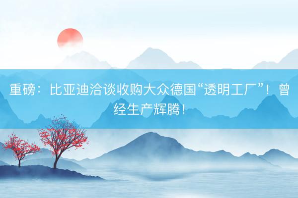 重磅：比亚迪洽谈收购大众德国“透明工厂”！曾经生产辉腾！