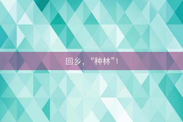 回乡，“种林”！