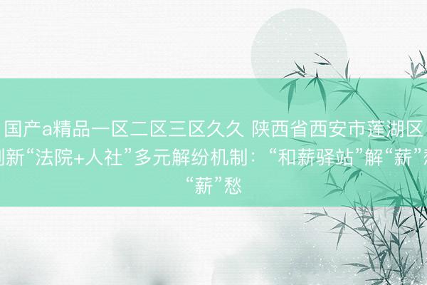 国产a精品一区二区三区久久 陕西省西安市莲湖区创新“法院+人社”多元解纷机制：“和薪驿站”解“薪”愁