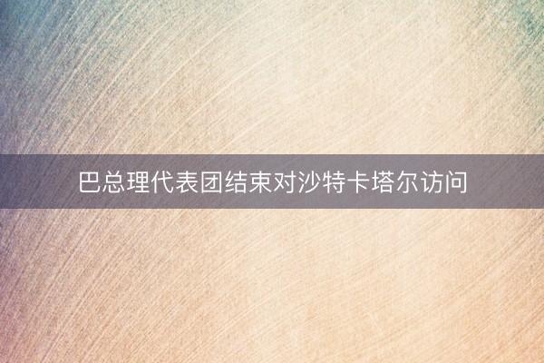 巴总理代表团结束对沙特卡塔尔访问