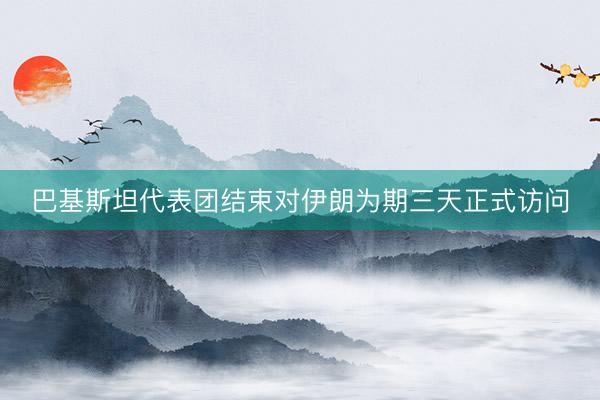 巴基斯坦代表团结束对伊朗为期三天正式访问