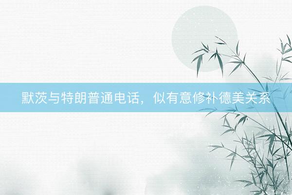 默茨与特朗普通电话，似有意修补德美关系