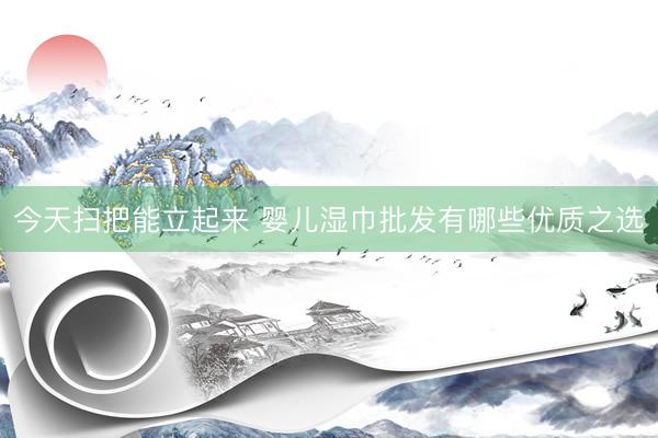 今天扫把能立起来 婴儿湿巾批发有哪些优质之选