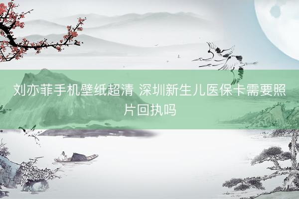 刘亦菲手机壁纸超清 深圳新生儿医保卡需要照片回执吗