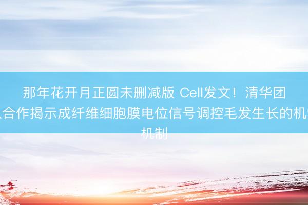 那年花开月正圆未删减版 Cell发文！清华团队合作揭示成纤维细胞膜电位信号调控毛发生长的机制