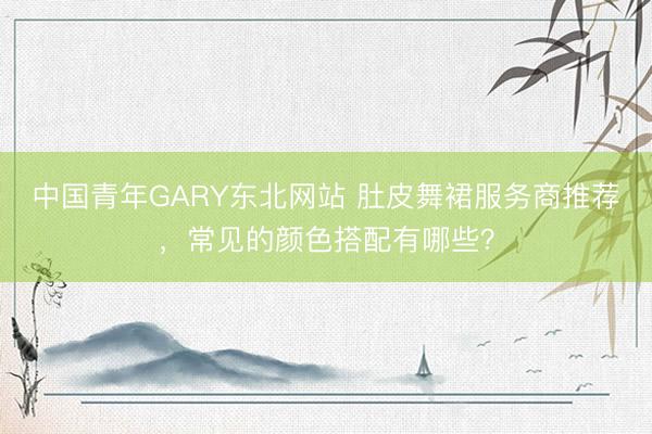 中国青年GARY东北网站 肚皮舞裙服务商推荐，常见的颜色搭配有哪些？