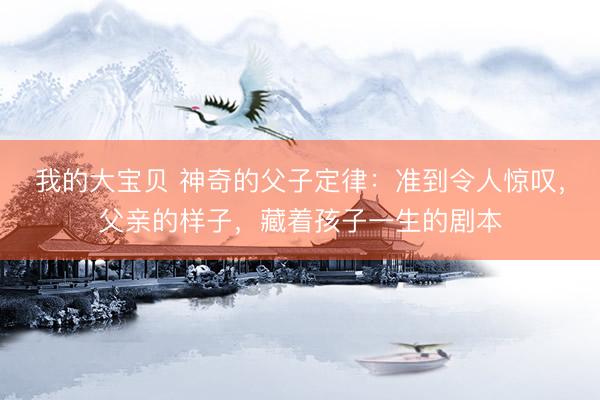我的大宝贝 神奇的父子定律：准到令人惊叹，父亲的样子，藏着孩子一生的剧本