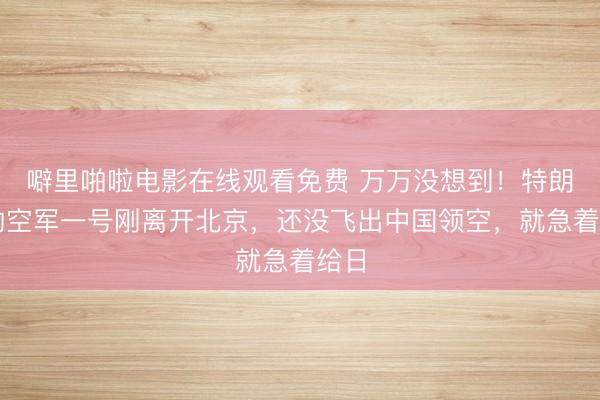 噼里啪啦电影在线观看免费 万万没想到！特朗普的空军一号刚离开北京，还没飞出中国领空，就急着给日
