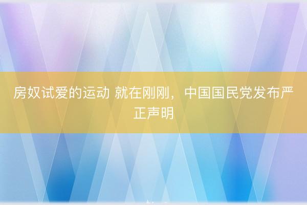 房奴试爱的运动 就在刚刚，中国国民党发布严正声明