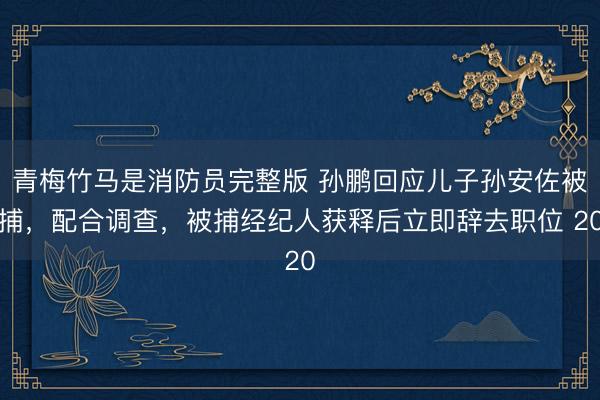 青梅竹马是消防员完整版 孙鹏回应儿子孙安佐被捕，配合调查，被捕经纪人获释后立即辞去职位 20