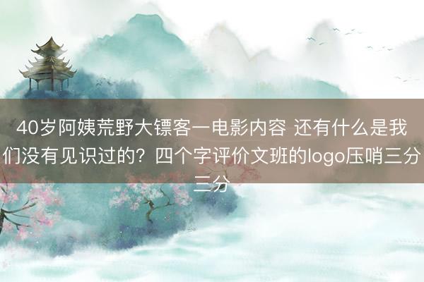 40岁阿姨荒野大镖客一电影内容 还有什么是我们没有见识过的？四个字评价文班的logo压哨三分
