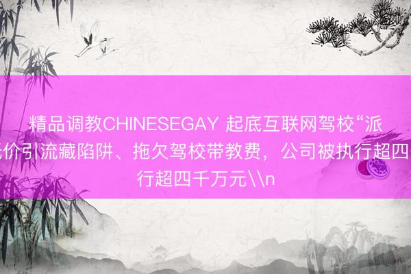精品调教CHINESEGAY 起底互联网驾校“派学车”：低价引流藏陷阱、拖欠驾校带教费，公司被执行超四千万元\n