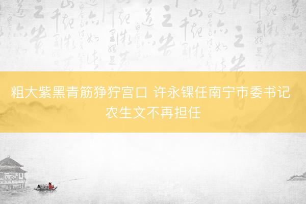 粗大紫黑青筋狰狞宫口 许永锞任南宁市委书记 农生文不再担任