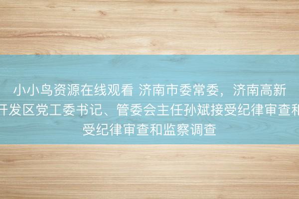 小小鸟资源在线观看 济南市委常委，济南高新技术产业开发区党工委书记、管委会主任孙斌接受纪律审查和监察调查