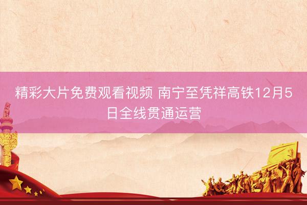 精彩大片免费观看视频 南宁至凭祥高铁12月5日全线贯通运营