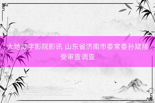 大地数字影院影讯 山东省济南市委常委孙斌接受审查调查