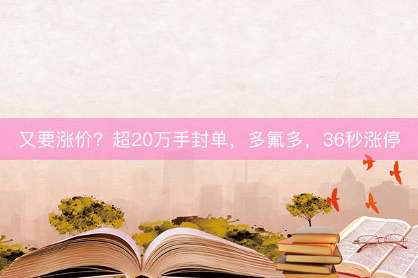 又要涨价？超20万手封单，多氟多，36秒涨停