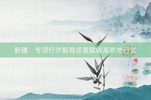 新疆：专项行状智商侦查赋能高质地行状