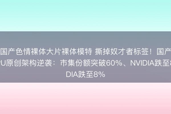 国产色情裸体大片裸体模特 撕掉奴才者标签！国产GPU原创架构逆袭：市集份额突破60%、NVIDIA跌至8%