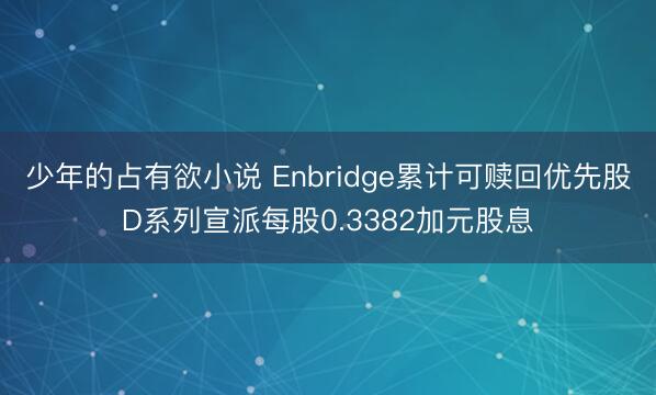 少年的占有欲小说 Enbridge累计可赎回优先股D系列宣派每股0.3382加元股息