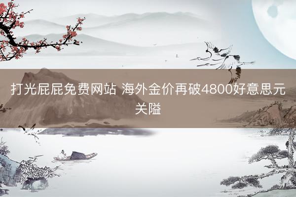 打光屁屁免费网站 海外金价再破4800好意思元关隘