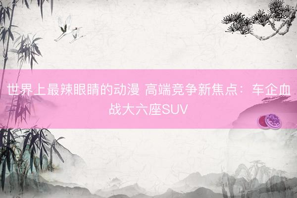 世界上最辣眼睛的动漫 高端竞争新焦点：车企血战大六座SUV