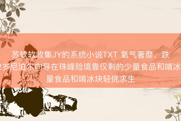 苏软软收集JY的系统小说TXT 氧气奢靡、跌入冰缝，52岁尼泊尔向导在珠峰险境靠仅剩的少量食品和啃冰块轻佻求生