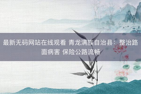 最新无码网站在线观看 青龙满族自治县：整治路面病害 保险公路流畅