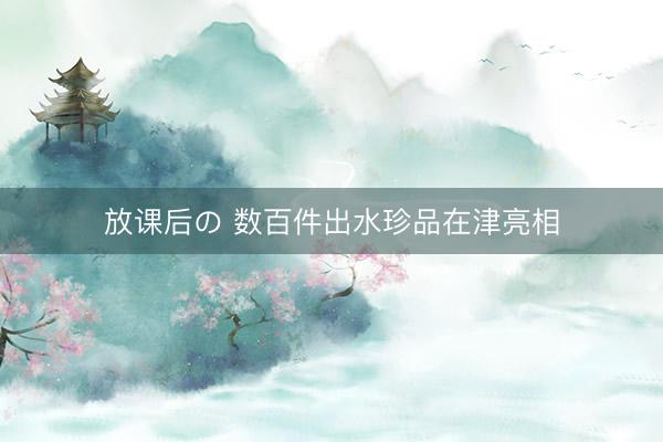 放课后の 数百件出水珍品在津亮相