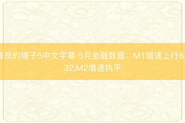 善良的锼子5中文字幕 5月金融数据：M1增速上行&amp;#32;M2增速执平