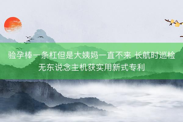 验孕棒一条杠但是大姨妈一直不来 长航时巡检无东说念主机获实用新式专利