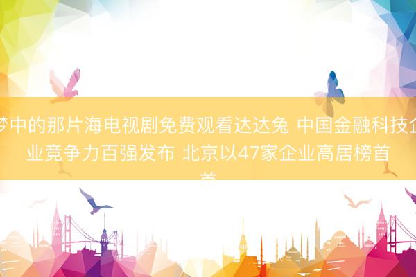梦中的那片海电视剧免费观看达达兔 中国金融科技企业竞争力百强发布 北京以47家企业高居榜首