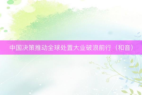 中国决策推动全球处置大业破浪前行(和音)