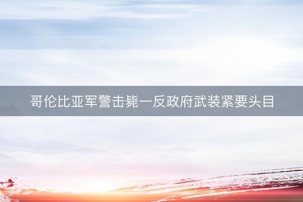 哥伦比亚军警击毙一反政府武装紧要头目