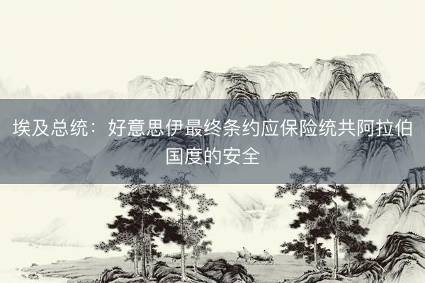 埃及总统：好意思伊最终条约应保险统共阿拉伯国度的安全