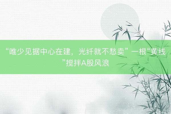 “唯少见据中心在建，光纤就不愁卖” 一根“黄线”搅拌A股风浪